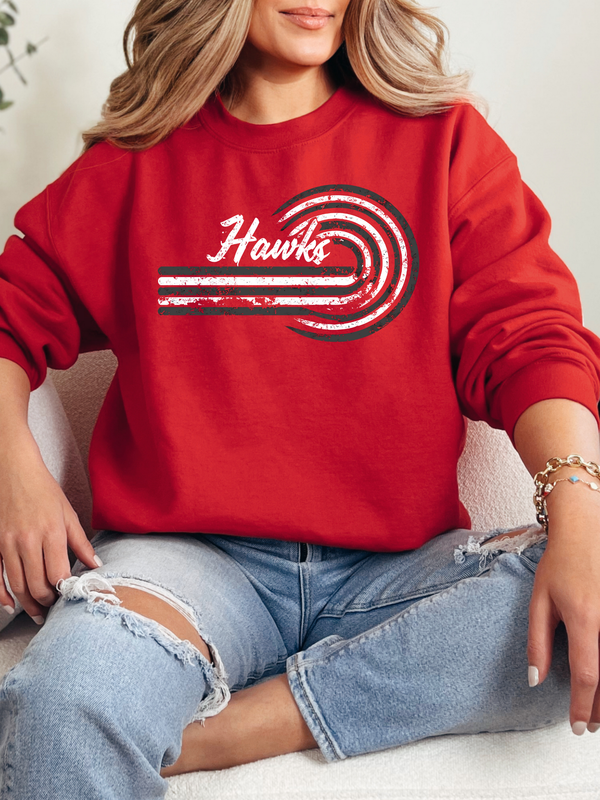 Distressed Retro Hawks
