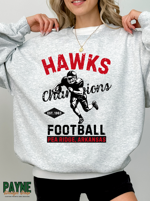 Hawks Football Champions
