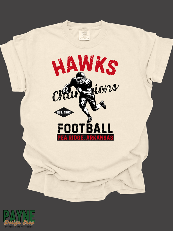 Hawks Football Champions