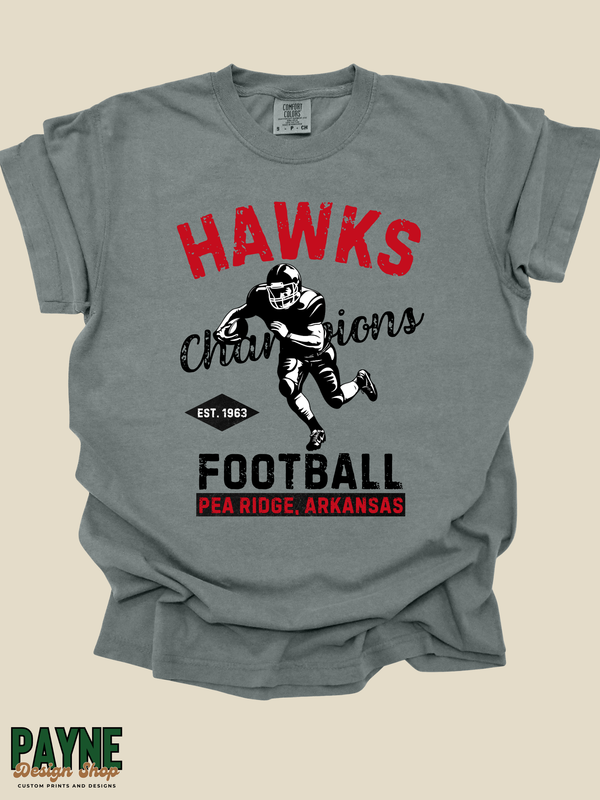 Hawks Football Champions